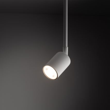 Pendelkrona för 1-fas skensystem TOP 1xGU10/10W/230V vit