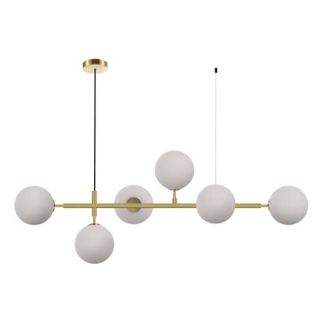 Pendellampa ALISA 6xE14/40W/230V guldfärgad