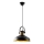Pendellampa med kabel DODO 1xE27/40W/230V svart/bronsfärgad