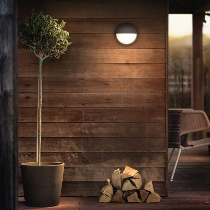 Philips 16455/93/16 - LED utomhus Väggbelysning MYGARDEN CAPRICORN LED/6W IP44