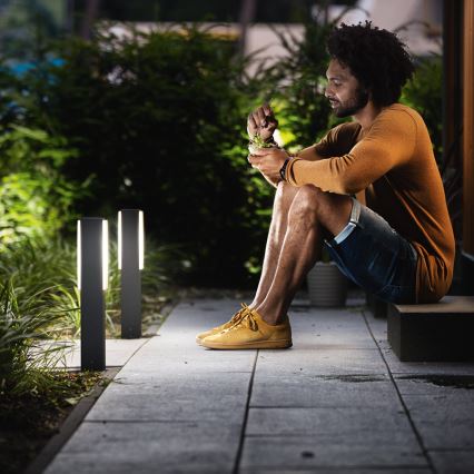 Philips 16488/93/P3 - Utomhus lyktstolpar MYGARDEN STRATOSPHERE 2xLED/4.5W IP44