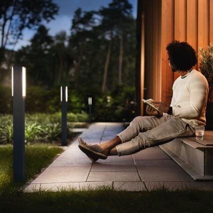 Philips 16489/93/P0 - Utomhus lyktstolpar MYGARDEN STRATOSPHERE 2xLED/4.5W IP44