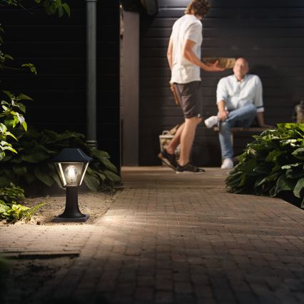 Philips 16496/30/PN - Utomhuslampa MYGARDEN ALPENGLOW E27/60W/230V