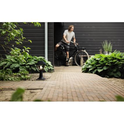 Philips 16496/30/PN - Utomhuslampa MYGARDEN ALPENGLOW E27/60W/230V
