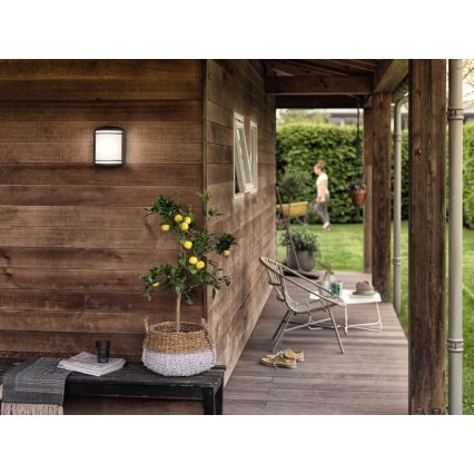 Philips - Utomhusväggarmatur LED/6W/230V IP44