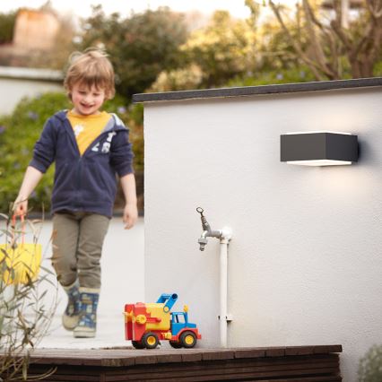 Philips 17337/93/PN – Utomhus Väggbelysning HEDGEHOG 1×E27/42W/230V IP44