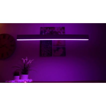 Philips -  LED RGBW Ljusreglerad ljuskrona på textilsladd Hue ENSIS White And Color Ambiance 2xLED/39W/230V