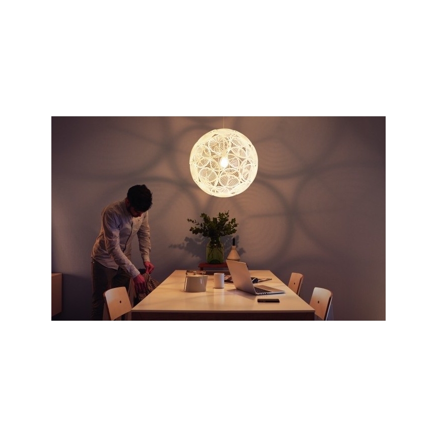 Philips 40913/31/PN - Tak Hängande lampa MYLIVING RING E27/60W/230V