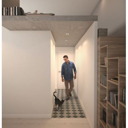 Philips  50393/11/P0 - SET 3xLED Dimbar belysning SHELLBARK LED/4,5W/230V