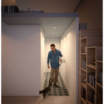 Philips  50393/11/P0 - SET 3xLED Dimbar belysning SHELLBARK LED/4,5W/230V