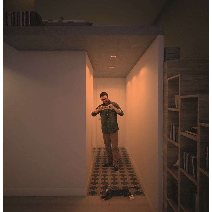 Philips  50393/11/P0 - SET 3xLED Dimbar belysning SHELLBARK LED/4,5W/230V