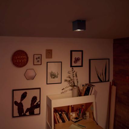 Philips - LED ljusreglerad spotlight 1xLED/4,5W/230V