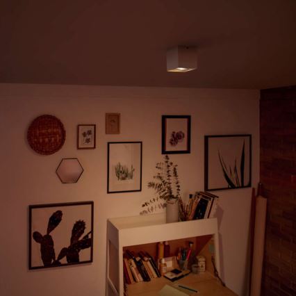 Philips - Dimbar LED-spotlampa LED/4,5W/230V