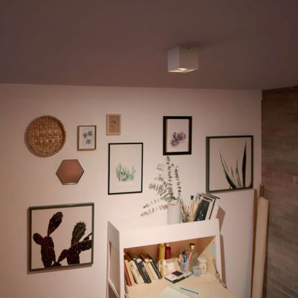 Philips - LED ljusreglerad spotlight 1xLED/4,5W/230V