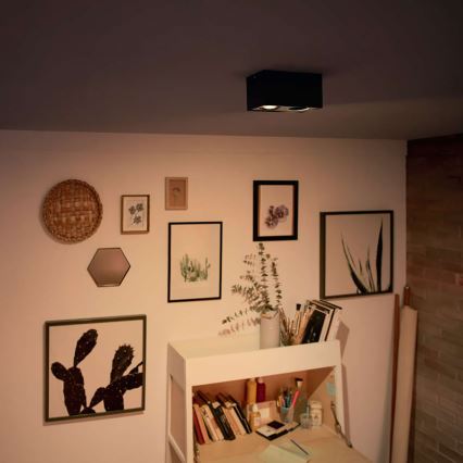 Philips - LED ljusreglerad spotlight 2xLED/4,5W/230V