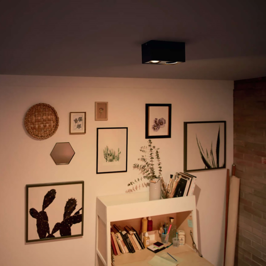 Philips - LED ljusreglerad spotlight 2xLED/4,5W/230V