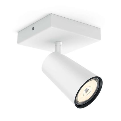 Philips 50571/31/PN - LED Spotlight MYLIVING PAISLEY 1xGU10/5,5W/230V