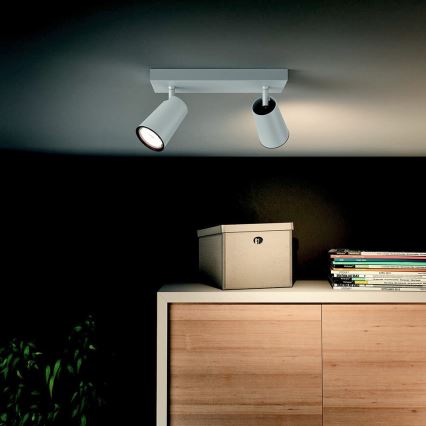 Philips 50572/31/PN - LED Spotlight MYLIVING PAISLEY 2xGU10/5,5W/230V