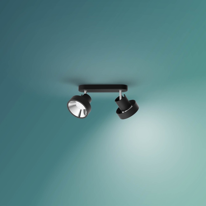 Philips 50602/30/P0 - LED Dimbar spotlight BUKKO 2xLED/4,5W/230V