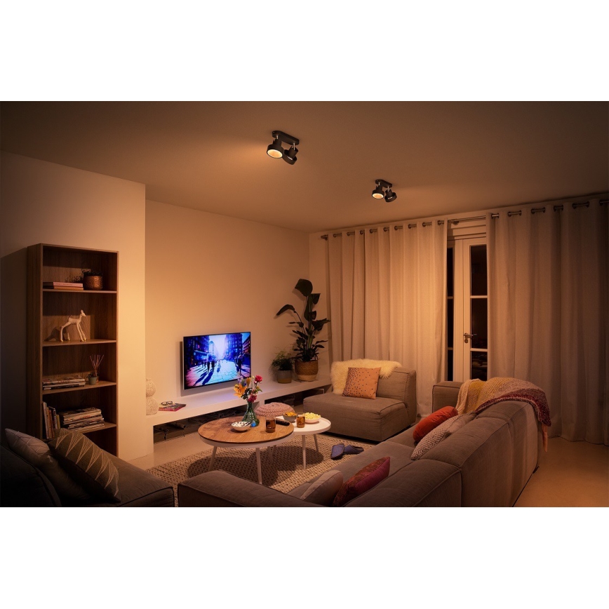 Philips 50602/30/P0 - LED Dimbar spotlight BUKKO 2xLED/4,5W/230V