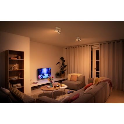 Philips 50602/31/P0 - LED Spotlight BUKKO 2xLED/4,5W/230V