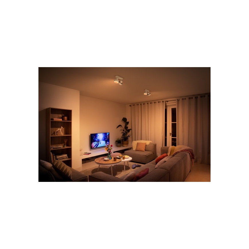 Philips 50602/31/P0 - LED Spotlight BUKKO 2xLED/4,5W/230V