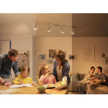 Philips 50664/14/P0 - LED Spotbelysning BYRE 4xLED/4,3W/230V 2200/2500/2700K