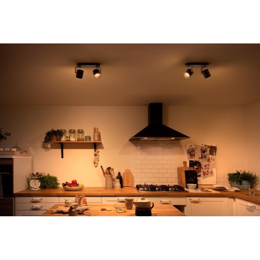 Philips - LED dimbar spotlight 2xLED/4,5W/230V