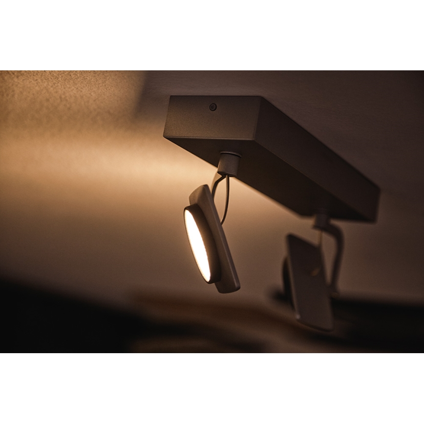 Philips 53192/48/P0 - LED Spotlight MILLENNIUM 2xLED/4,5W/230V