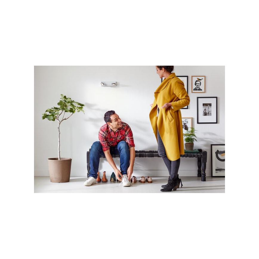 Philips 53192/48/P0 - LED Spotlight MILLENNIUM 2xLED/4,5W/230V