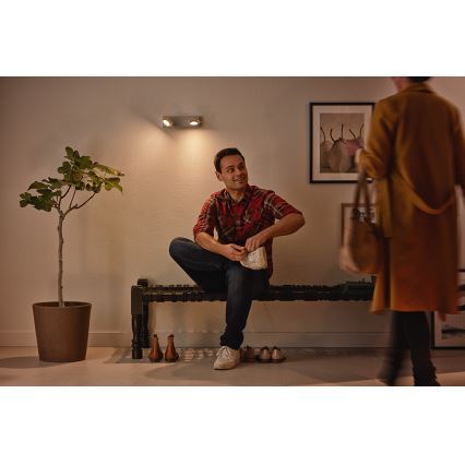 Philips 53192/48/P0 - LED Spotlight MILLENNIUM 2xLED/4,5W/230V