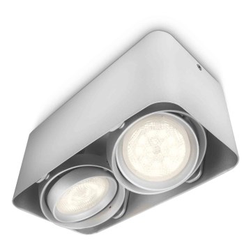 Philips 53202/48/16 - LED spotlampa AFZELIA 2xLED/3W/230V