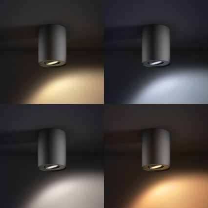 Philips 56330/30/P8 - LED Dimbar spotlight PILLAR Hue 1xGU10/5,5W