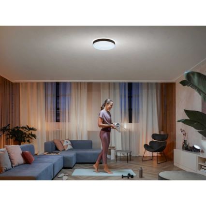 Philips - LED-dimbar takarmatur Hue LED/33,5W/230V 2200-6500K Ø 425 mm svart + fjärrkontroll