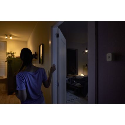 Philips Hue rörelsesensor 2xAAA IP42