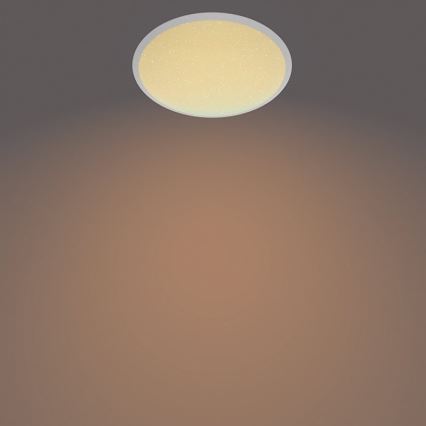 Philips - LED Dimbar bathroom Takbelysning SCENE SWITCH LED/12W/230V IP44