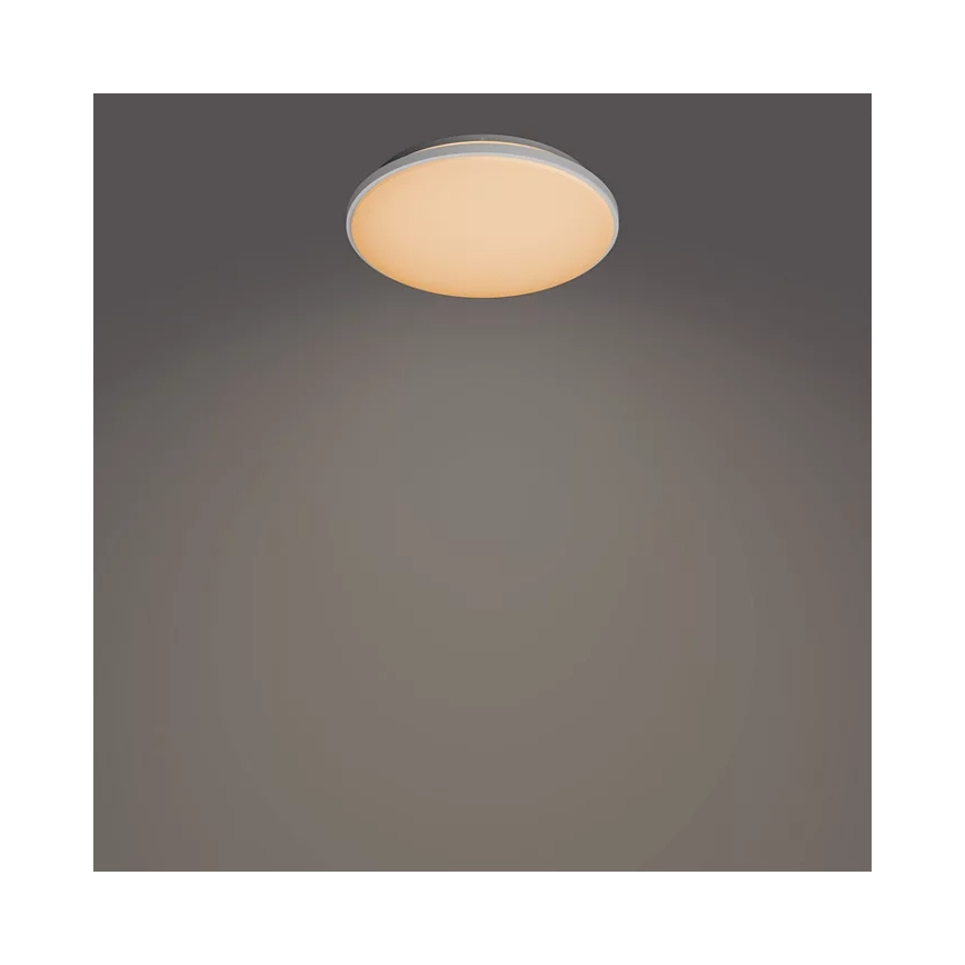 Philips - LED dimbar taklampa LED/24W/230V 2700-6500K + fjärrkontroll