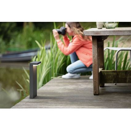 Philips - LED-lampa för utomhusbruk BUSTAN LED/3,8W/230V 2700K 77 cm IP44