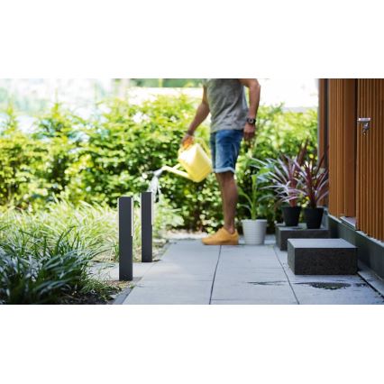 Philips - LED-lampa för utomhusbruk STRATOSPHERE LED/3,8W/230V 42 cm 4000K IP44