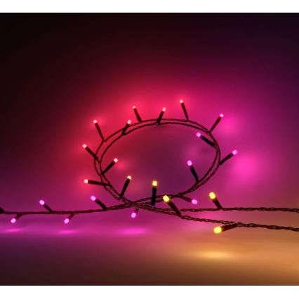Philips - LED RGBW dimbar utomhusslinga HUE WHITE AND COLOR AMBIANCE 500xLED 44,4 m 2000-6500K IP54