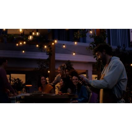 Philips - Hue FESTAVIA utomhusslinga, RGBW LED, förlängningsbar och dimbar, 30×LED, 21 m, IP65
