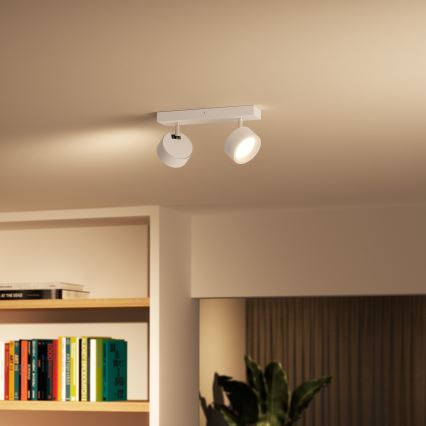 Philips - LED spotlight 2xLED/5,5W/230V vit