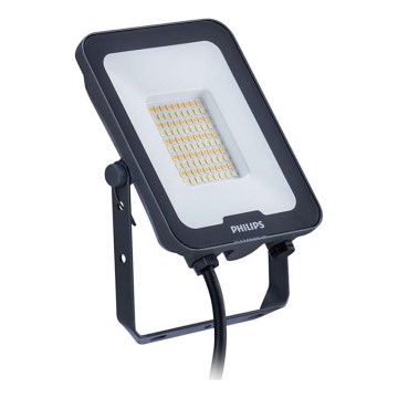 Philips - LED-strålkastare LEDINAIRE ALL-IN LED/30W/230V 3000/4000/6500K IP65