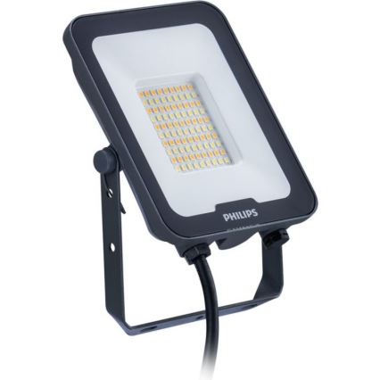 Philips - LED-strålkastare LEDINAIRE ALL-IN LED/30W/230V 3000/4000/6500K IP65