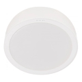 Philips - LED taklampa MESON LED/24W/230V 3000K