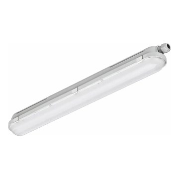 Philips - LED-teknisk lysrörsarmatur CORELINE LED/25W/230V 120 cm IP66