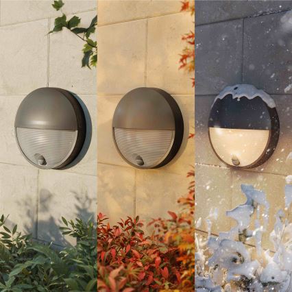 Philips - LED utomhusväggarmatur med rörelsesensor CAPRICORN LED/4,3W/230V IP44