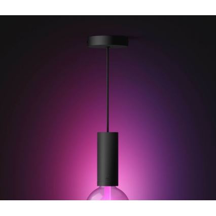 Philips - Ljuskrona med upphängningsrem Hue GUIDE 1xE27/60W/230V