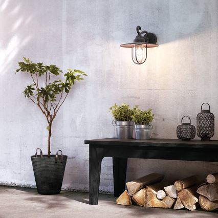 Philips Massive - Utomhus väggbelysning 1xE27/60W/230V IP44