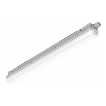 Philips Pila - teknisk LED-lysrörsarmatur LED/40W/230V 120 cm IP65